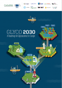 Glyco 2030 Roadmap